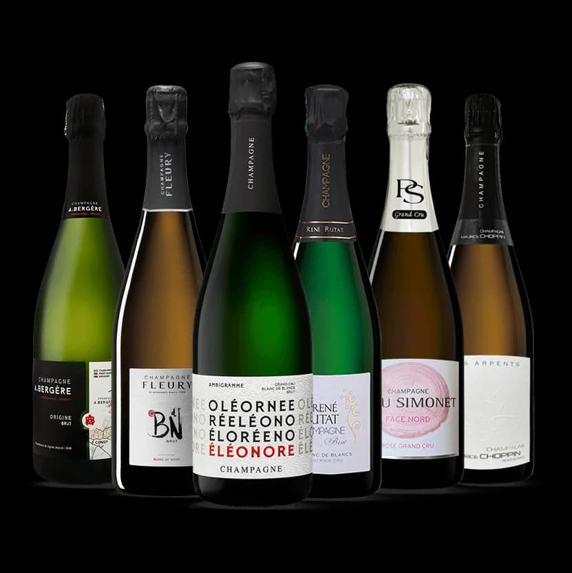 Pépites en Champagne